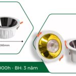 Âm trần DN04 – SERIES (chóa vàng / đen )